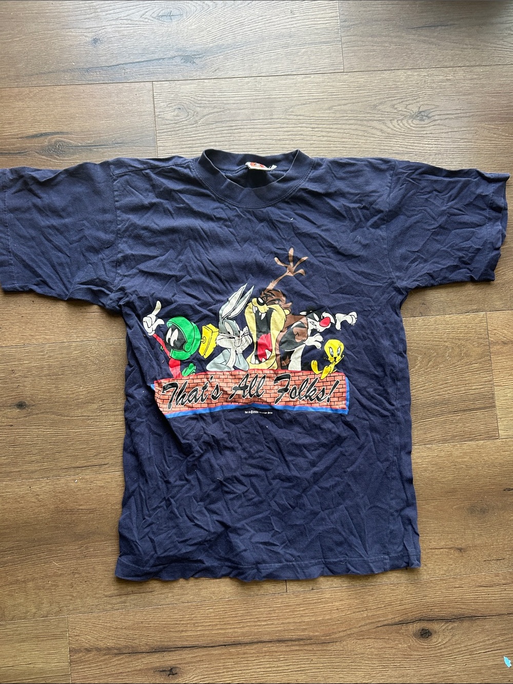 Looney Tunes '2000 That's All Folks!' Graphic Tee ! Size 16